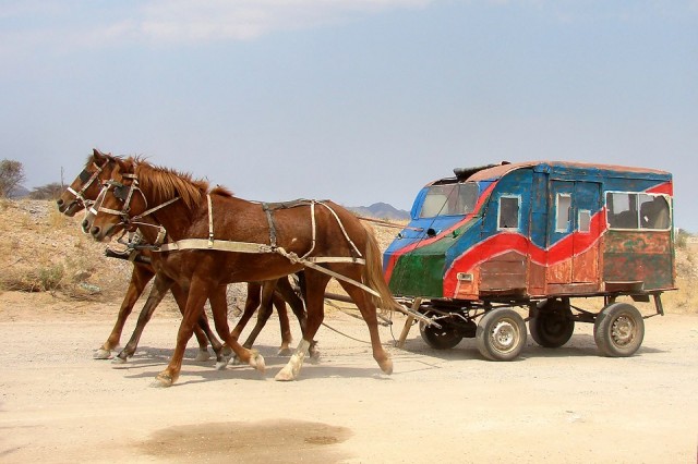 horse-carriege-africa.jpg